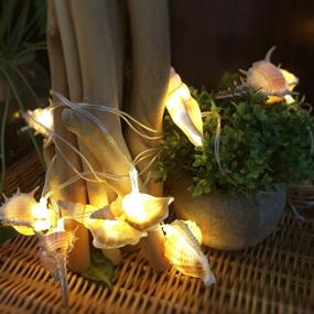 img 2 attached to 🐚 Starryfill Ocean Real Conch String Lights: 10 Warm White LEDs, Waterproof and Battery Operated with Timer Control for Indoor/Outdoor Parties and Events