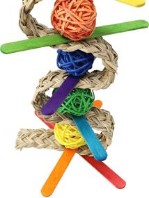 img 1 attached to 🦜 Vibrant Quaker Parrot Toys: 00156 Chewballishous Bonka Bird Toys Delight with Colorful Vine, Palm Wood, and Chewable Fun for Parrotlets and Budgies
