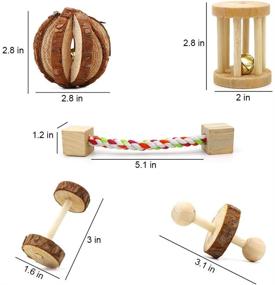 img 2 attached to Top-Rated MSDS Approved 10-Pack ZALALOVA Hamster Chew Toys: Natural Wooden Pine Guinea Pigs, Rats, Chinchillas Accessories for Teeth Care, Exercise, and Molar Toy – Perfect Bunny Valentine's Day Gifts