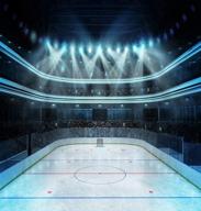 diamond painting hockey stadium spectators logo