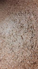 img 2 attached to 🪱 All-in-One Mealworm & Superworm Wheat Bran Bedding and Food Source: Josh's Frogs 5 Quart