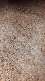 img 1 attached to 🪱 All-in-One Mealworm & Superworm Wheat Bran Bedding and Food Source: Josh's Frogs 5 Quart