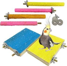 img 4 attached to 🦜 Hamiledyi Bird Perch Stand Toy Wood - Parrot Paw Grinding Stick Perch Stand Platform - Parakeet Cage Accessories - Exercise Toys for Budgies, Cockatiel, Conure