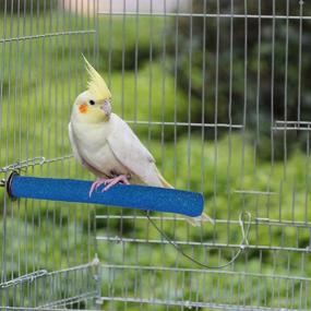 img 1 attached to 🦜 Hamiledyi Bird Perch Stand Toy Wood - Parrot Paw Grinding Stick Perch Stand Platform - Parakeet Cage Accessories - Exercise Toys for Budgies, Cockatiel, Conure