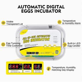 img 3 attached to 🐣 Magicfly Automatic Temperature Controlled Incubator for Hatching