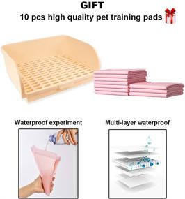 img 3 attached to Large Rabbit Litter Box by Amakunft - Small Animal Potty Trainer for Cage - Bunny Corner Toilet Box for Ferret/Guinea Pig/Chinchilla/Galesaur - Small Pet Pan