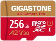 карта памяти gigastone на 256 гб micro sd | запись видео 4k | совместима с камерой gopro, экшн-камерой, камерой dji, дроном, nintendo-switch | скорость чтения/записи до 100/60 мб/с | карта памяти microsdxc uhs-i u3 a2 v30 c10 | включает 5-летнюю бесплатную восстановление данных. логотип