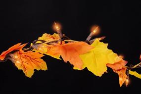 img 1 attached to 🍁 9 Feet Lighted Fall Leaf Garland by CraftMore