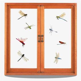 img 3 attached to 🦋 30-Piece Window Clings: Dragonfly Decals for Bird Strike Prevention, Anti-Collision Butterfly Stickers as Window Glass Decor