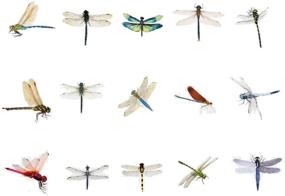 img 4 attached to 🦋 30-Piece Window Clings: Dragonfly Decals for Bird Strike Prevention, Anti-Collision Butterfly Stickers as Window Glass Decor