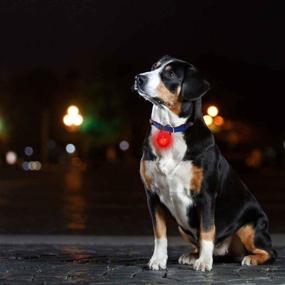 img 2 attached to 🐶 Waterproof Shockproof Dog Collar LED Light - 3 Flashing Modes for Night Walking (Pack of 3)