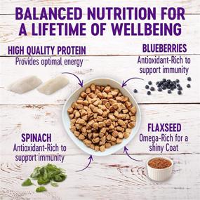 img 2 attached to Wellness Complete Health Dry Dog Food with Whitefish & [specific beneficial ingredient].