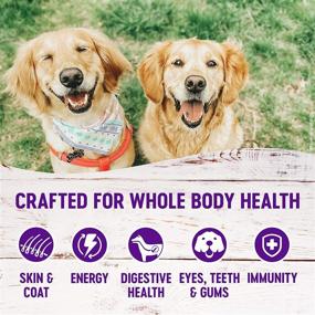 img 1 attached to Wellness Complete Health Dry Dog Food with Whitefish & [specific beneficial ingredient].