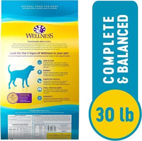 img 3 attached to Wellness Complete Health Dry Dog Food with Whitefish & [specific beneficial ingredient].