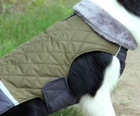 img 2 attached to 🐶 JoyDaog Fleece Collar Reversible Dog Coats: Waterproof & Warm jackets for Small Dogs in Cold Winter