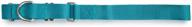 bluebird martingale pet collar - nylon guardian gear logo