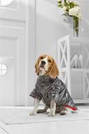 medium winter jacket beagle spaniel logo