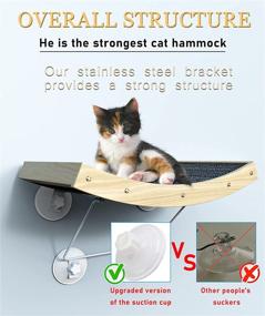 img 2 attached to 🐱 Hanging Cat Window Perch Hammock with Strong Suction Cup - Sturdy & Comfortable Bed for Indoor Cats - Supports Over 40Ib - Cat Supplies & Accessories