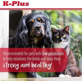 img 3 attached to Pet Health Solutions Potassium Gluconate