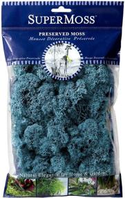 img 1 attached to SuperMoss 759834251606 Reindeer Moss Azul, Azure - Vibrant Décor for Terrariums, Crafts & Home