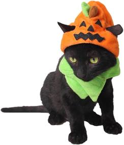 img 3 attached to 🎃 Halloween Pumpkin Cat Hat: Authentic Orgrimmar Costume for Kitty Cat Cosplay & Collar Costume