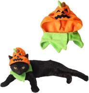 🎃 halloween pumpkin cat hat: authentic orgrimmar costume for kitty cat cosplay & collar costume logo