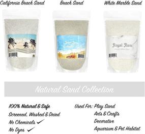 img 2 attached to Pounds Natural Decorative Real Sand Fish & Aquatic Pets