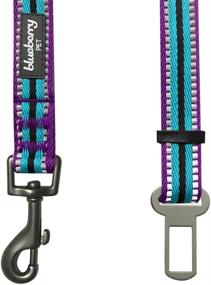 img 2 attached to Blueberry Pet Multi-Colored Stripe Adjustable Dog Seat Belts with 3M Reflective Material in 8 Vibrant Colors