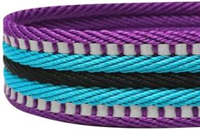 img 1 attached to Blueberry Pet Multi-Colored Stripe Adjustable Dog Seat Belts with 3M Reflective Material in 8 Vibrant Colors