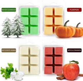 img 3 attached to 🍁 LASENTEUR Scented Soy Wax Melts Gift Set for Women - 8x2.5oz Natural Wax Cubes of Home Fragrance - Pumpkin & Apple Cinnamon - Ideal for Candle Wax Warmer