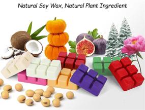 img 1 attached to 🍁 LASENTEUR Scented Soy Wax Melts Gift Set for Women - 8x2.5oz Natural Wax Cubes of Home Fragrance - Pumpkin & Apple Cinnamon - Ideal for Candle Wax Warmer