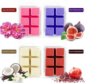 img 2 attached to 🍁 LASENTEUR Scented Soy Wax Melts Gift Set for Women - 8x2.5oz Natural Wax Cubes of Home Fragrance - Pumpkin & Apple Cinnamon - Ideal for Candle Wax Warmer