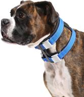 🐶 cesar millan pack leader collar (medium, blue) - elite training tool for effective dog handling logo