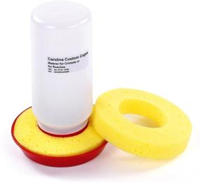 img 4 attached to Carolina Cricket/Roach Waterer: Enhance Hydration with 1 Replacement Sponge