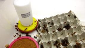 img 2 attached to Carolina Cricket/Roach Waterer: Enhance Hydration with 1 Replacement Sponge