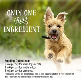 img 1 attached to Premium Freeze-Dried Treats for Dogs and Cats - 10 Flavors - Gluten-Free Pet Food by Northwest Naturals - 1-10 Oz.
