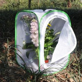 img 1 attached to Enhance and Safeguard Butterflies' Habitat with RESTCLOUD Butterfly Habitat Terrarium Protection
