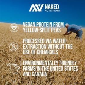 img 2 attached to 🌱 100% North American Farms Pea Protein Powder - Vegan Pea Protein Isolate - Plant Protein Powder, Digestion-Friendly - Accelerates Muscle Recovery