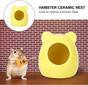 img 3 attached to Balacoo Ceramic Hamster Bedding Chinchilla