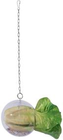 img 3 attached to Lanermoon Hanging Foraging Toys for Hens - Chicken Feeder with Treat Ball, Veggie & Seed Food for Pet Parrot Birds