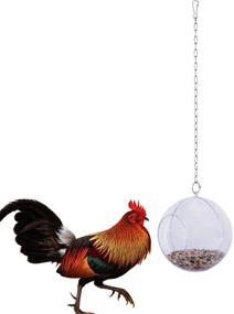 img 4 attached to Lanermoon Hanging Foraging Toys for Hens - Chicken Feeder with Treat Ball, Veggie & Seed Food for Pet Parrot Birds