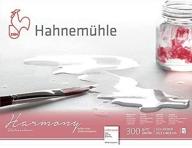 hahnemuhle harmony watercolor pressed inches painting, drawing & art supplies in art paper logo
