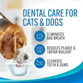 img 1 attached to Emmy's Best Pet Products Advanced Pet Dental Care Water Additive: Ultimate Cat & Dog Dental Care and Breath Freshener - No Brush Formula for Tartar & Plaque Removal, Promoting Healthy Teeth in Dogs