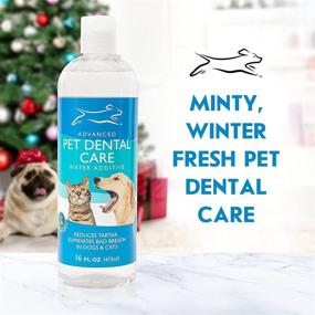img 2 attached to Emmy's Best Pet Products Advanced Pet Dental Care Water Additive: Ultimate Cat & Dog Dental Care and Breath Freshener - No Brush Formula for Tartar & Plaque Removal, Promoting Healthy Teeth in Dogs