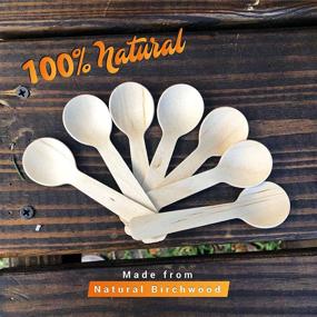 img 1 attached to 🌱 110-Pack of Eco-Friendly Mini Wooden Spoons - 3.9-inch, Disposable, Biodegradable Cutlery for Desserts, Parties, and Events - Compostable Tiny Wood Utensils - Superior to Bamboo Palm