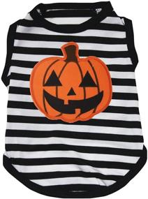 img 2 attached to Petitebella Pumpkin Striped Clothes Medium