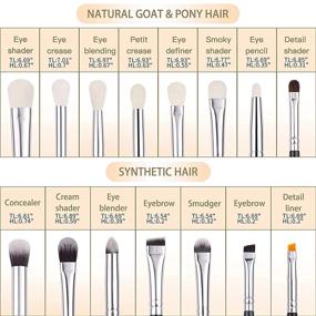 img 3 attached to 🖌️ BEILI 15pcs Eye Makeup Brushes Set - Natural Goat Hair Eyeshadow Brushes for Soft Blending, Concealers, Eyebrow, Eyeliner - Professional Make Up Brushes Set (Black)