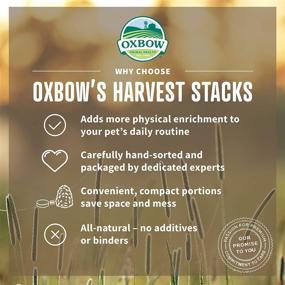 img 2 attached to 🌾 Premium Oxbow Animal Health Harvest Hay Stacks - Western Timothy Hay - Nutritious All Natural Hay for Small Pets - 35 oz.