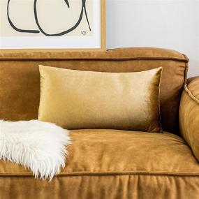 img 4 attached to 🍂 Home Brilliant 12x20 Fall Velvet Oblong Pillow Cover - Luxury Rectangular Throw Pillows for Sofa in Living Room, Wedding Lounge, & Party Decor - 12 x 20 Inch - Gold