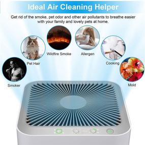 img 2 attached to 🌬️ Kokofit Large Room Air Purifier with CADR 320 & H13 True HEPA Filter | Covers 720 Sq Ft Home | Quiet Eliminator for 99.97% Odors, Allergies, Pets Hair, Mold, Pollen, Smoke, Dust in Bedroom | White